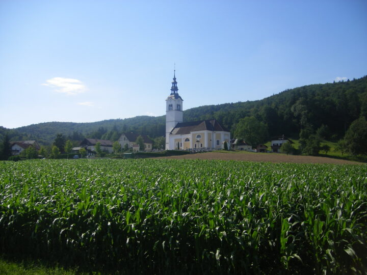 Župnije